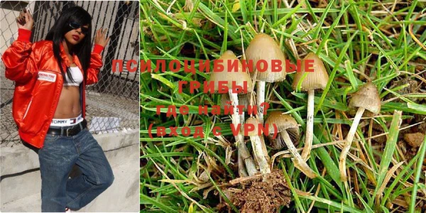 прущие крисы Алзамай