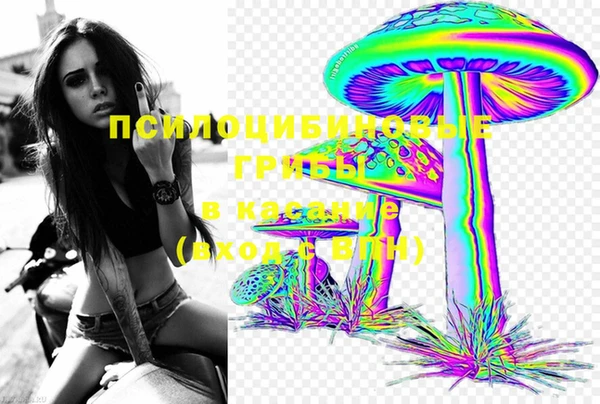 ПСИЛОЦИБИНОВЫЕ ГРИБЫ Алексин