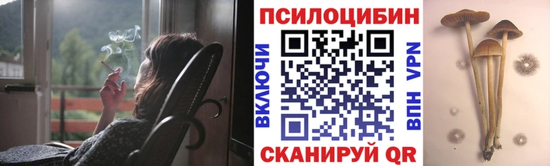 Галлюциногенные грибы Psilocybe Йошкар-Ола