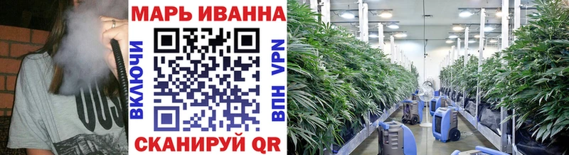 Каннабис AK-47  гидра ССЫЛКА  Йошкар-Ола 